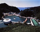下田海中水族館
