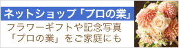プロの業