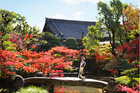 2012年 Autumn Plan