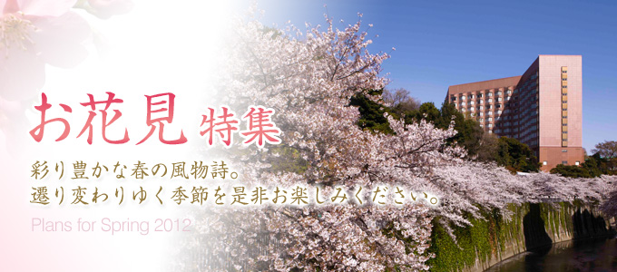 お花見特集