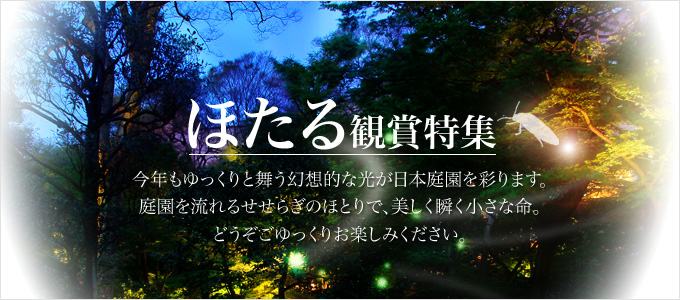 ほたる観賞特集