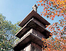 写真：紹鴎の塔