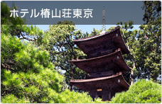 ホテル椿山荘東京／山縣有明公より受け継いだ、さながら森のような日本庭園に数々の史跡が点在しています。