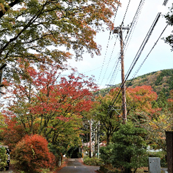 箱根ホテル小涌園(Instagram)