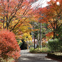 箱根ホテル小涌園(Instagram)