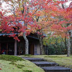箱根ホテル小涌園(Instagram)