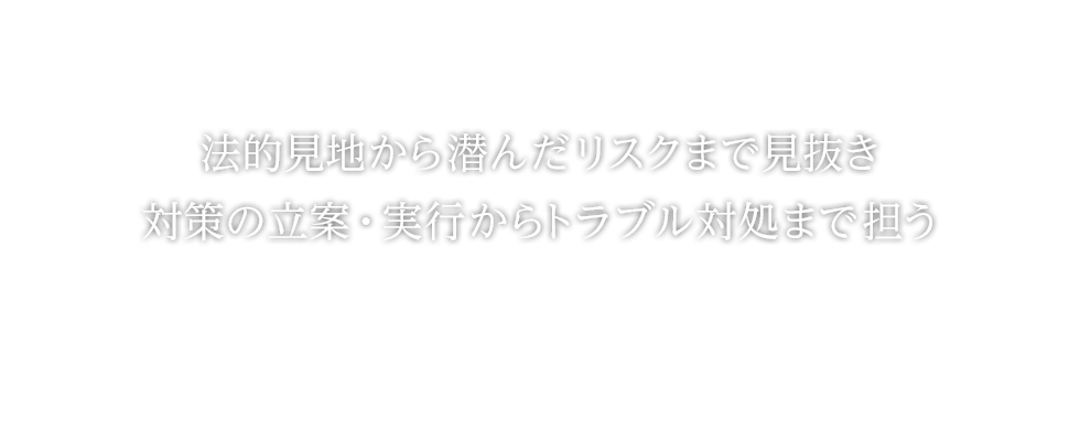 法的見地から潜んだリスクまで見抜き、対策の立案・実行からトラブル対処まで担う