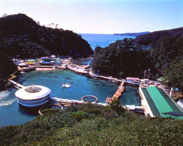 海中水族館