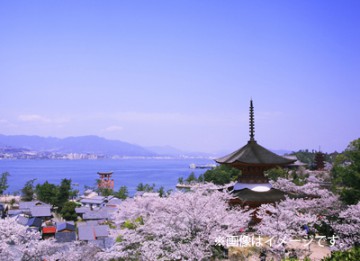 日本さくら名所100選 千光寺公園の桜 や世界遺産 宮島 など 広島の桜の名所をご紹介 ブログ 藤田観光株式会社