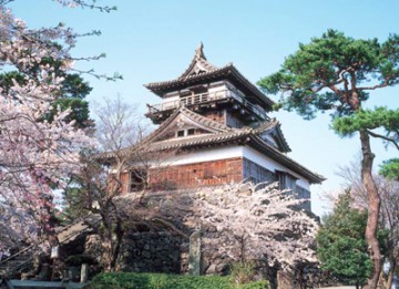 日本最古の天守閣を持つ 福井県 丸岡城 と桜のコラボレーションを見にいらしてください ブログ 藤田観光株式会社