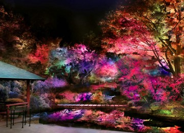 宵闇に染まる 日本庭園の幻想的な世界 古来より伝わる日本の伝統色 和色 を使ったイルミネーションで太閤園の庭園が彩られます ブログ 藤田観光株式会社