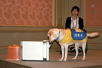 日本介助犬協会への支援