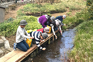 自社所有の山林や庭園の保全